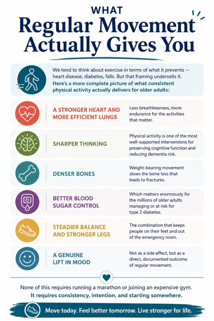 Infographic titled "What Regular Movement Actually Gives You" listing benefits of physical activity for older adults: stronger heart and lungs, sharper thinking, denser bones, better blood sugar control, steadier balance and stronger legs, and improved mood. It concludes by stating that consistency and intention are key, not marathons or gyms.