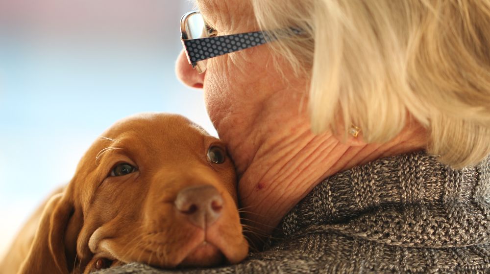 A close-up shot shows a brown puppy resting its head on the shoulder of an elderly person wearing glasses and a grey sweater.