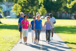 A diverse group of seven older adults walks together on a paved path in a park on a sunny day.